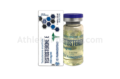 Testosterone E (Ice) 10ml